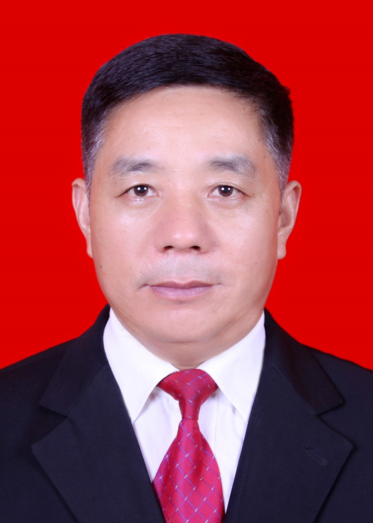 副会长李沛俊